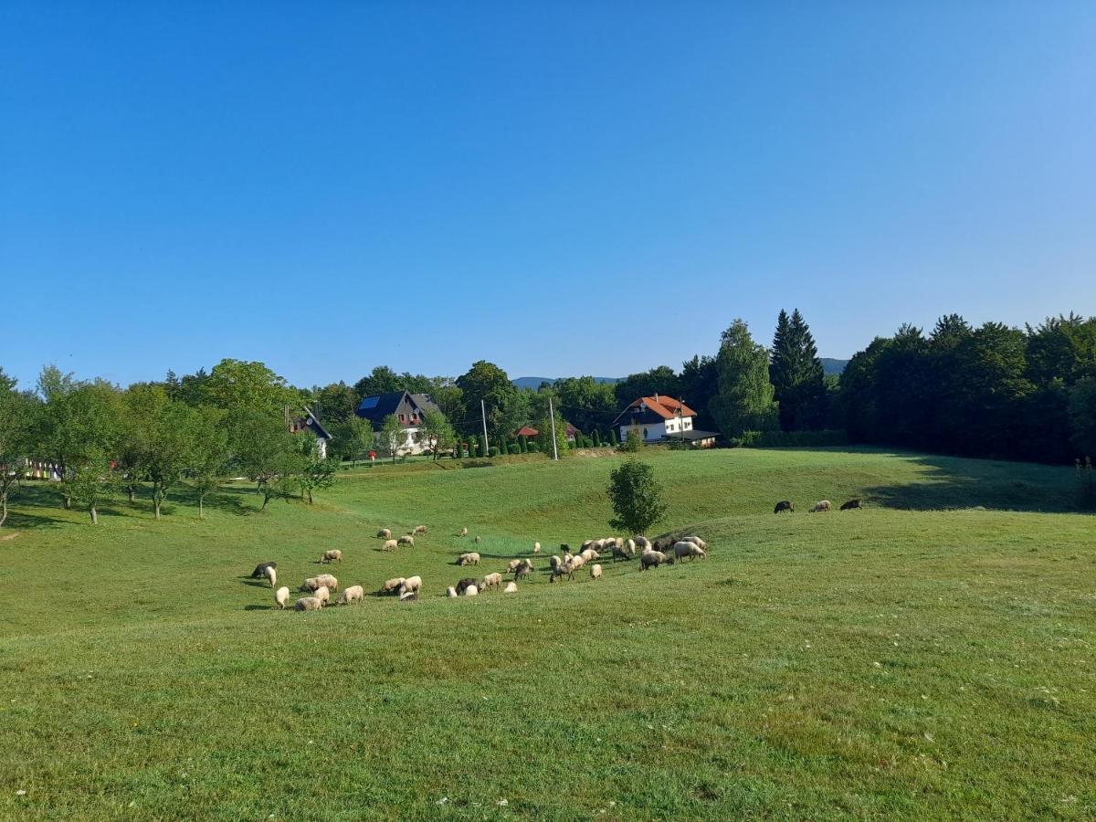 فندق بنسيون بريزا Plitvička Jezera المظهر الخارجي الصورة