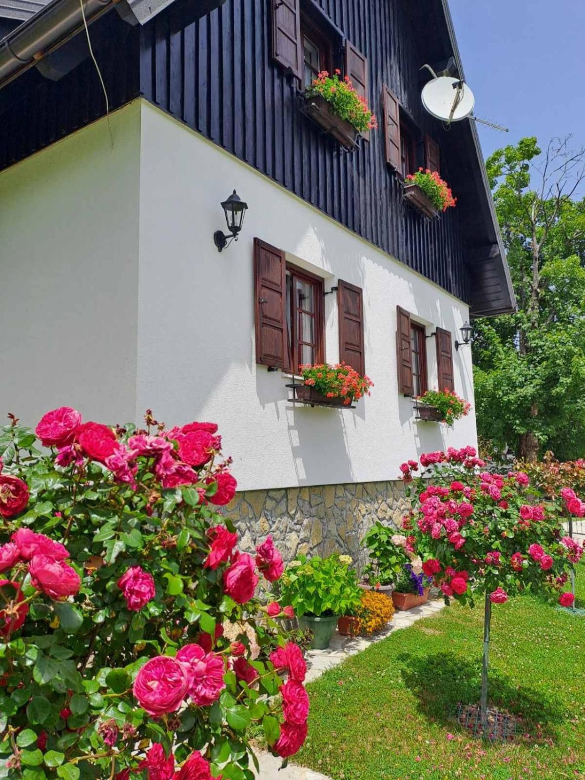 فندق بنسيون بريزا Plitvička Jezera المظهر الخارجي الصورة