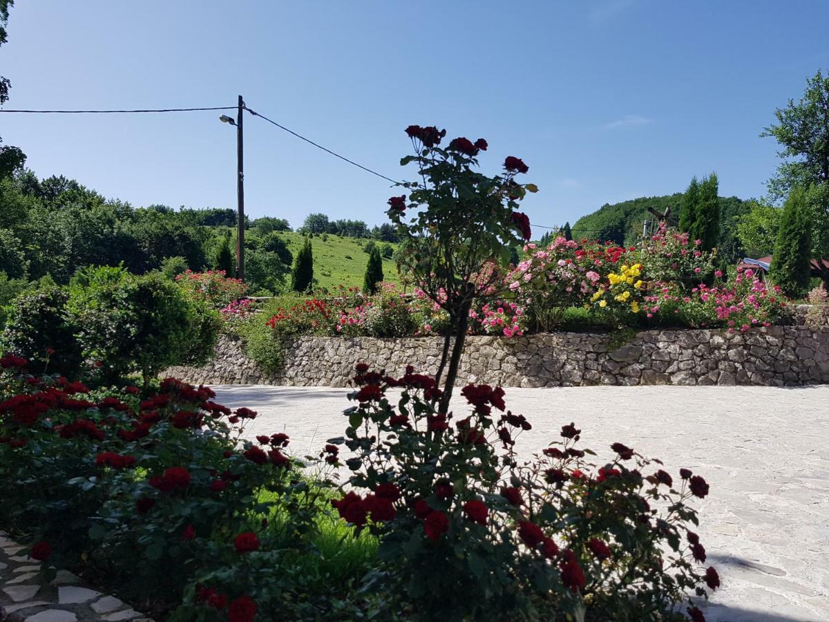 فندق بنسيون بريزا Plitvička Jezera المظهر الخارجي الصورة
