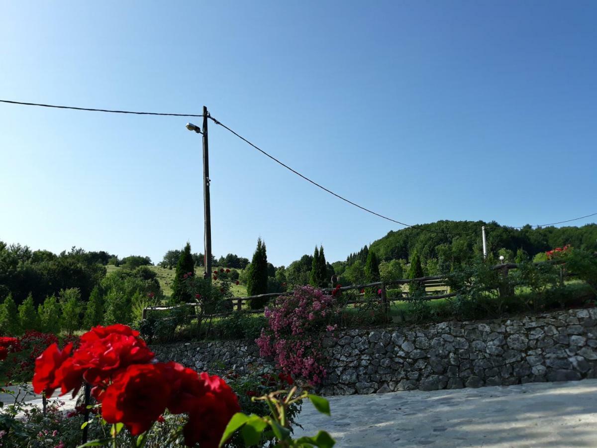 فندق بنسيون بريزا Plitvička Jezera المظهر الخارجي الصورة